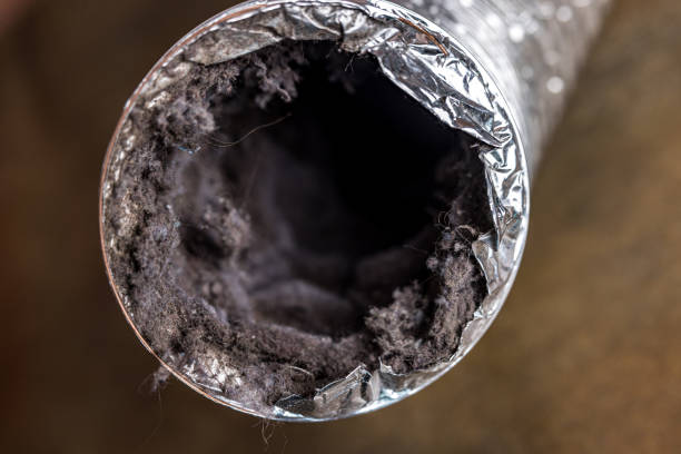 Best Local Air Duct Cleaning Services  in Cavalier, ND